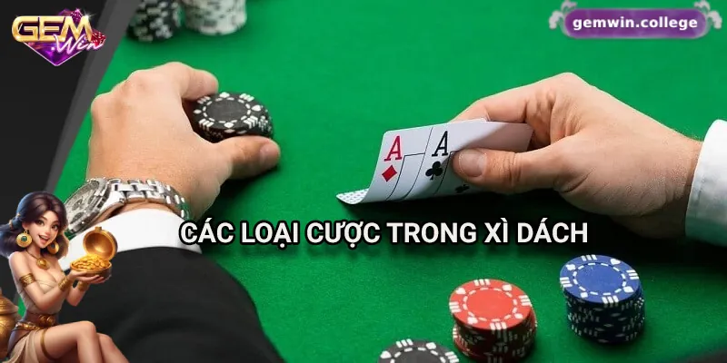 Cách Chơi Xì Dách Và Đặt Cược Hiệu Quả Trên Gemwin Các loại cược phổ biến trong xì dách tại Gemwin