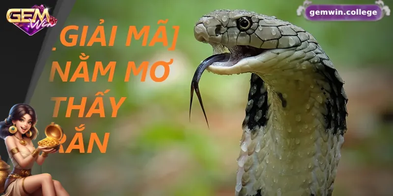 Mơ Thấy Rắn Đánh Con Gì? Gợi Ý Con Số May Mắn Giải mã các giấc mơ về rắn